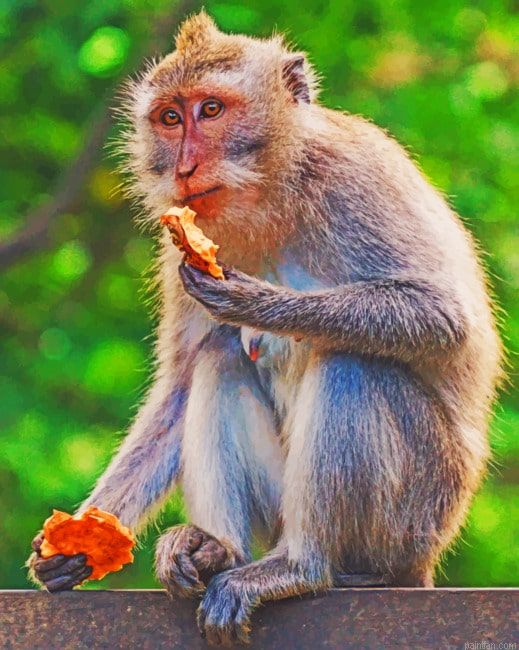 Monkey In The Forest Paint By Number.png