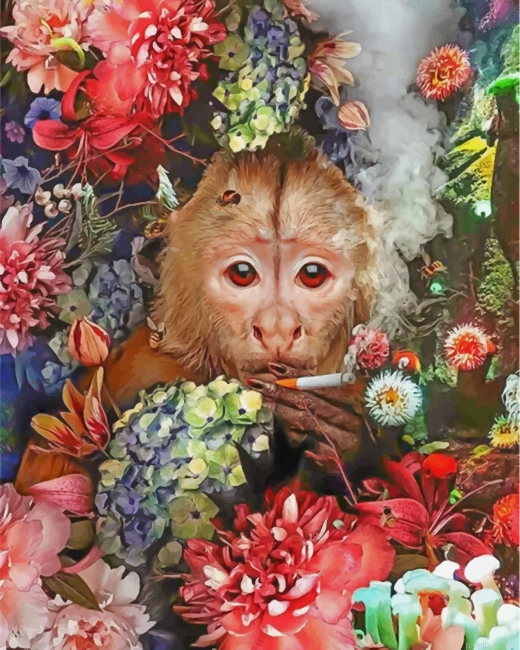 Monkey Smoking Paint By Number.png