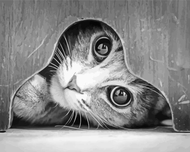 Monochrome Cat Paint By Numbers.png
