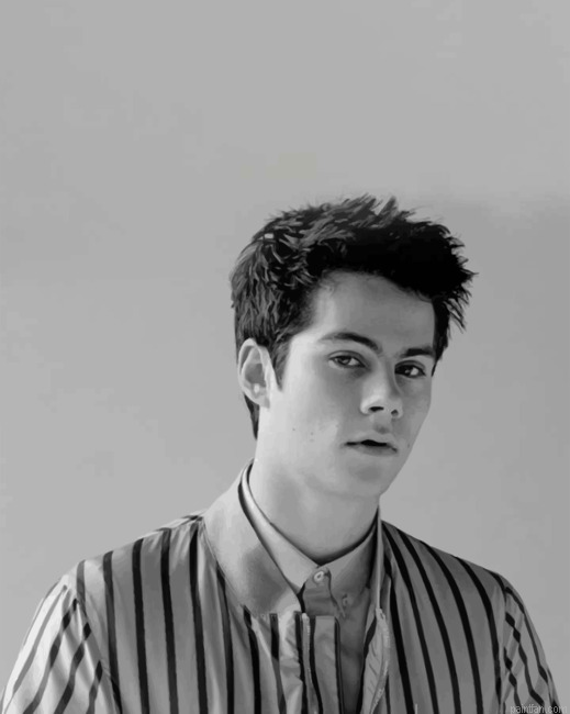 Monochrome Dylan O Brien Paint By Number.png