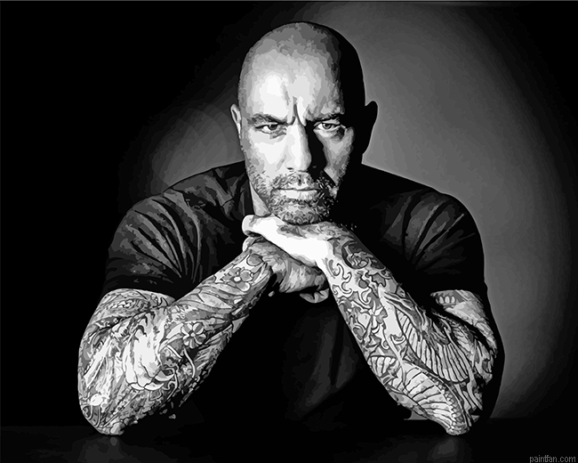 Monochrome Joe Rogan Paint By Number.png