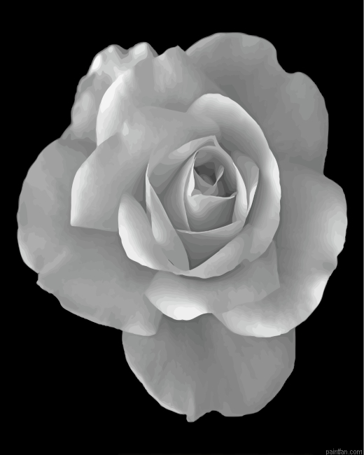 Monochrome Rose Paint By Number.png