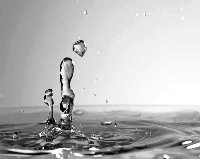 Monochrome Water Drop Paint By Number.png
