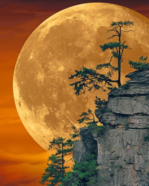 Moon Light New Paint By Number.png