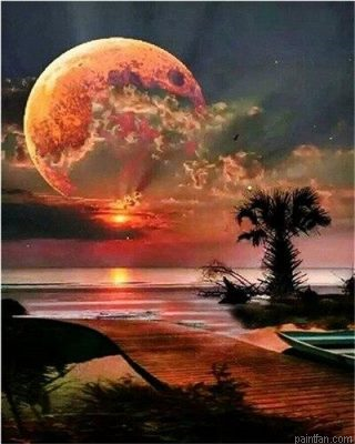 Moon Night Paint By Numbers.png