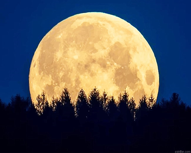 Moon Night Trees New Paint By Numbers.png
