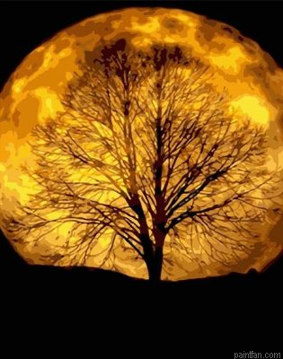 Moon Trees Paint By Numbers.png