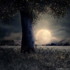 Moonlight Tree Paint By Numbers.png