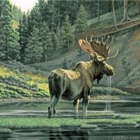 Moose By River Paint By Numbers.png