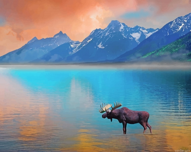 Moose In Lake New Paint By Numbers.png