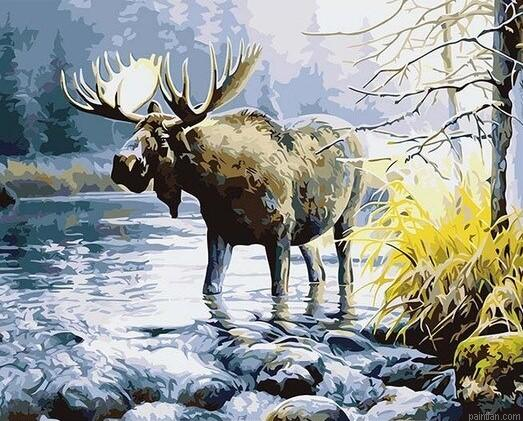 Moose In River Paint By Numbers.png