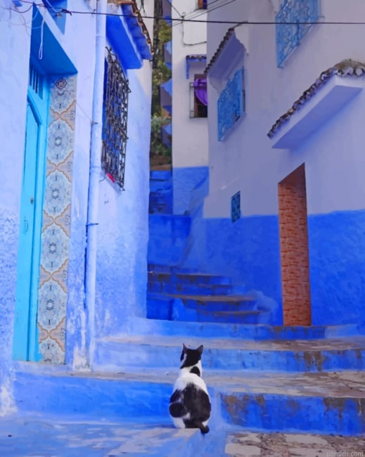 Moroccan Cat New Paint By Numbers.png