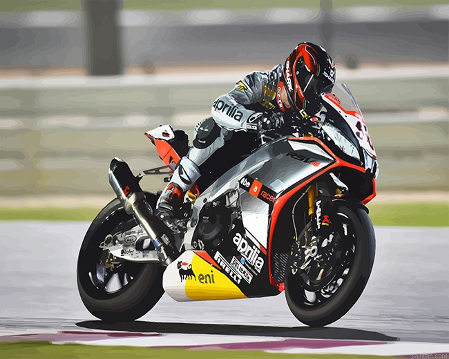 Motorcycle Race New Paint By Numbers.png