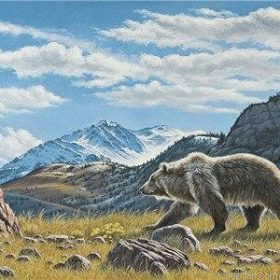 Mountain Bear Paint By Numbers.png