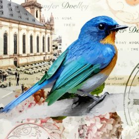 Mountain Bluebird Paint By Numbers.png