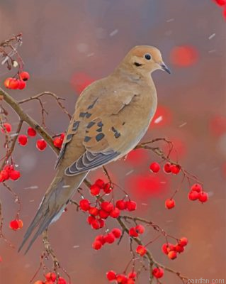 Mourning Dove Paint By Number.png