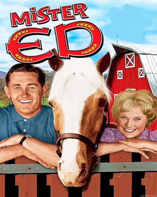 Mr Ed Paint By Numbers.png
