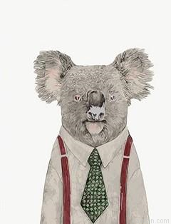 Mr Koala Paint By Numbers.png