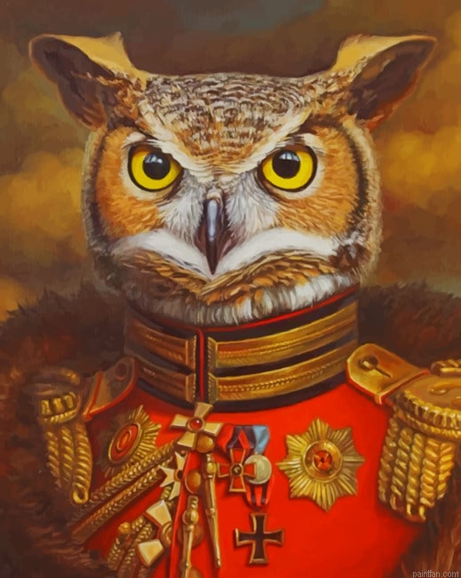 Mr Owl New Paint By Numbers.png