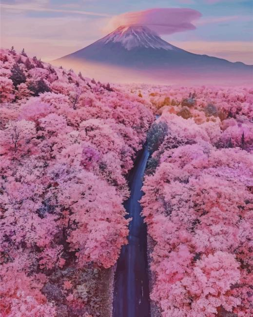 Mt Fuji With Cherry Blossoms New Paint By Numbers.png