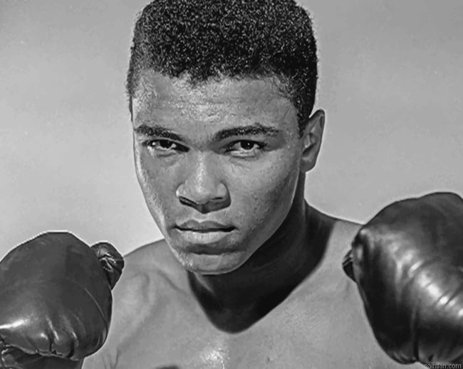 Muhammad Ali Black And White Paint By Number.png