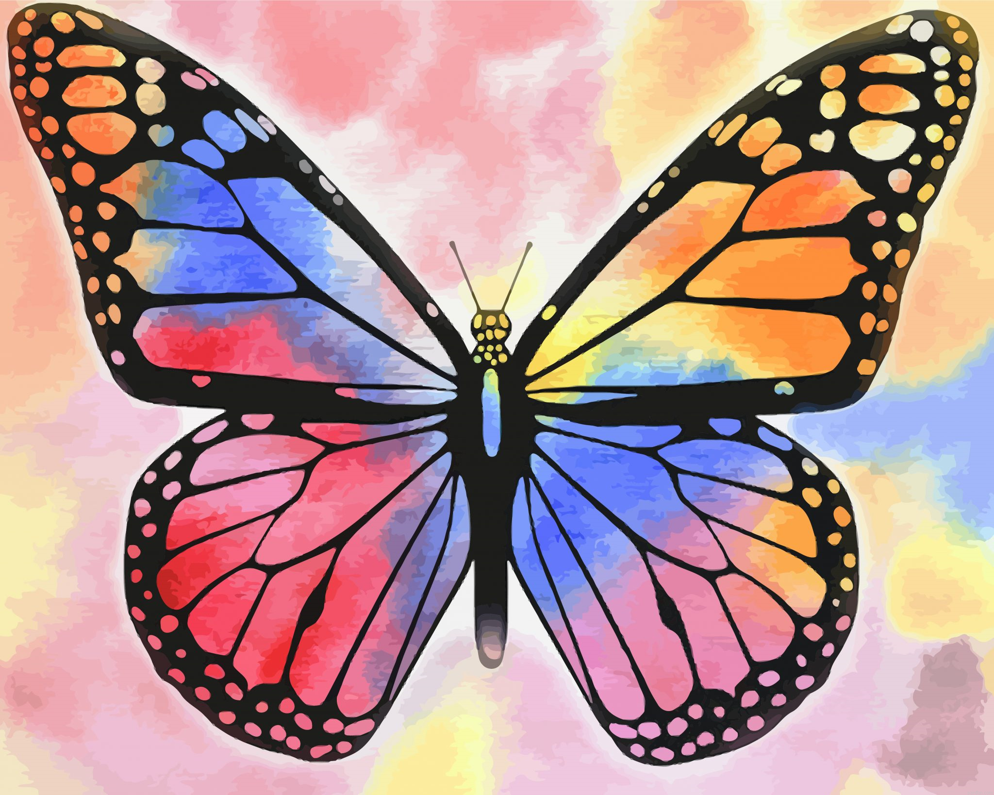 Multicolored Butterfly Paint By Number.png
