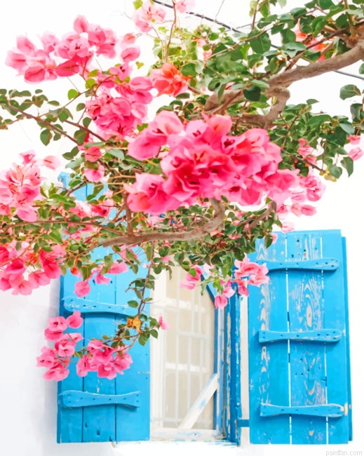 Mykonos Greece Pink Flowers New Paint By Numbers.png
