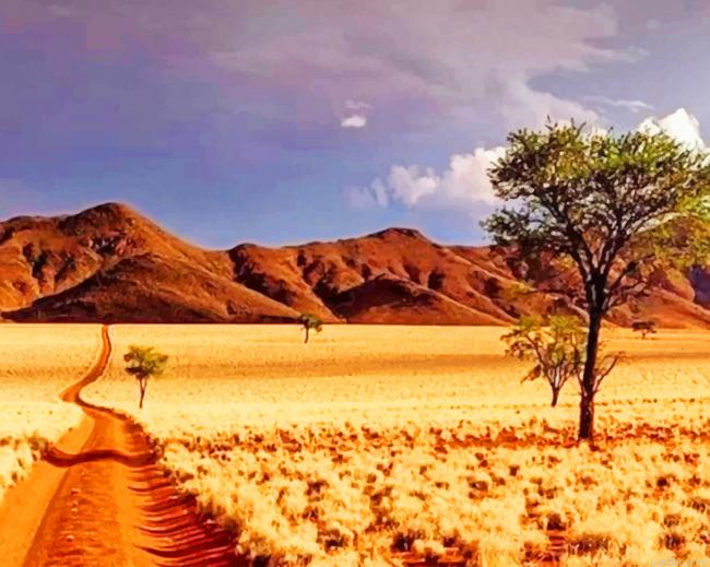 Namibrand Nature Paint By Numbers.png