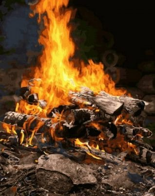 Natural Fire Paint By Numbers.png