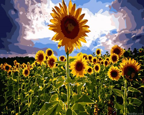 Nature Sunflowers Paint By Numbers.png