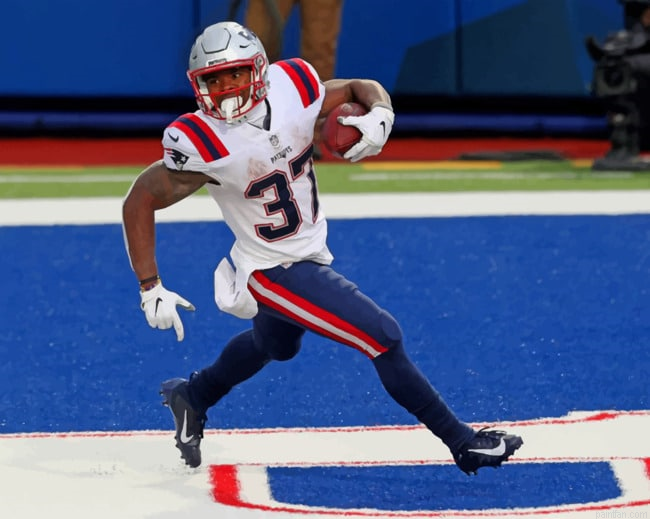 New England Patriots Paint By Numbers.png
