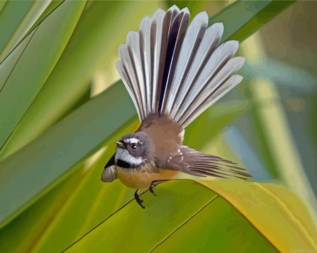 New Zealand Fantail Paint By Numbers.png
