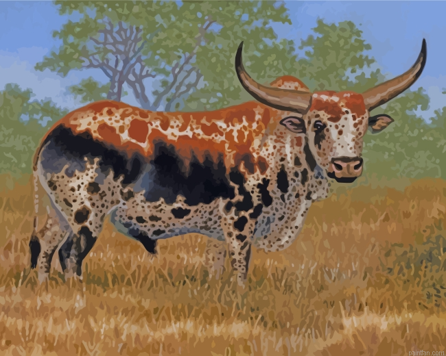 Nguni Bull Paint By Number.png