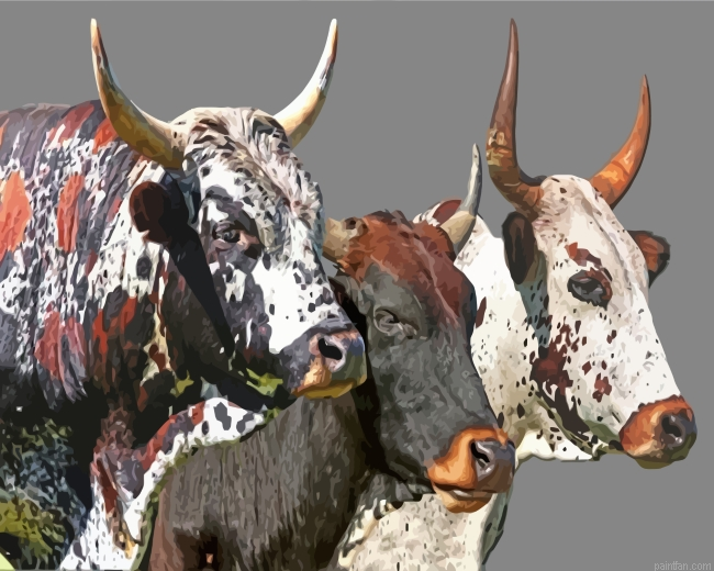 Nguni Cattle Paint By Number.png