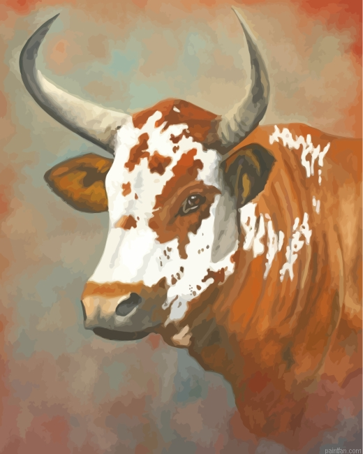 Nguni Cow Paint By Number.png