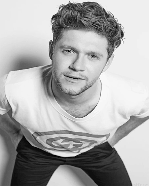 Niall Horan Black And White New Paint By Numbers.png