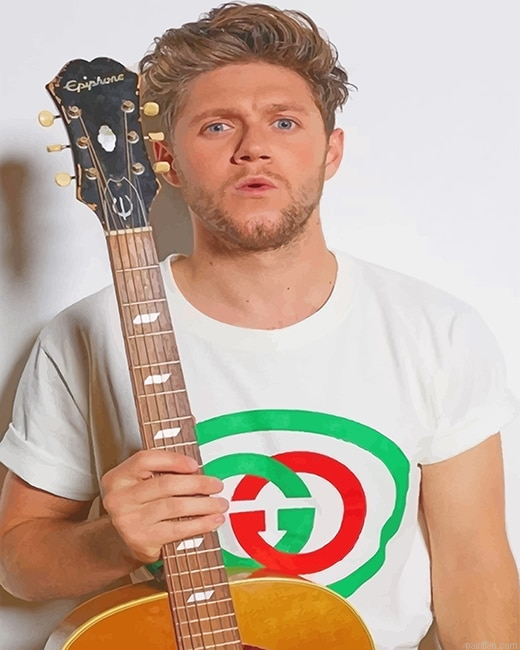 Niall Horan Guitar Photoshoot New Paint By Numbers.png