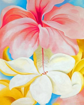 Nybg Georgia O Keeffe Hibiscus Paint By Number.png