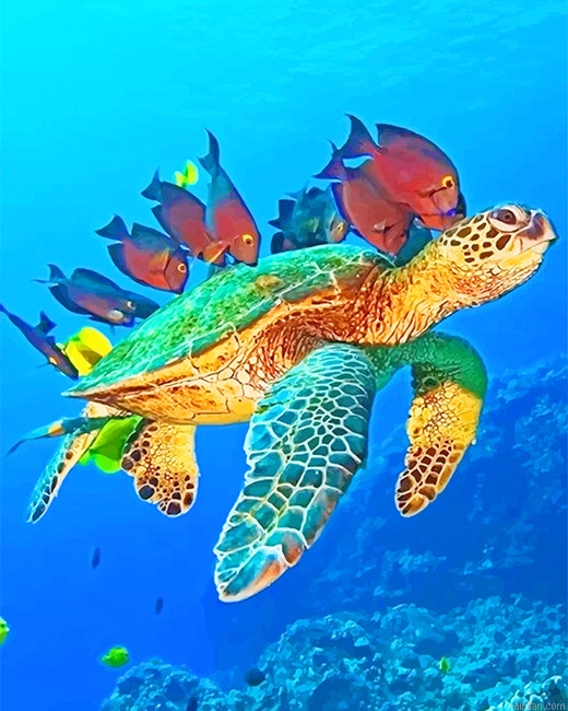 Ocean World New Paint By Numbers.png