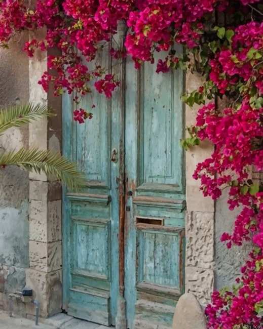 Old Doorways With Flowers New Paint By Numbers.png