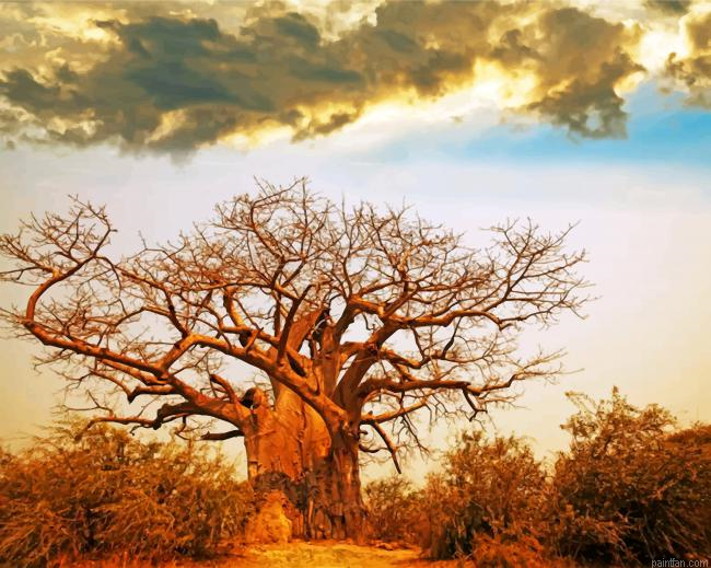 Oldest Baobab Tree Paint By Number.png