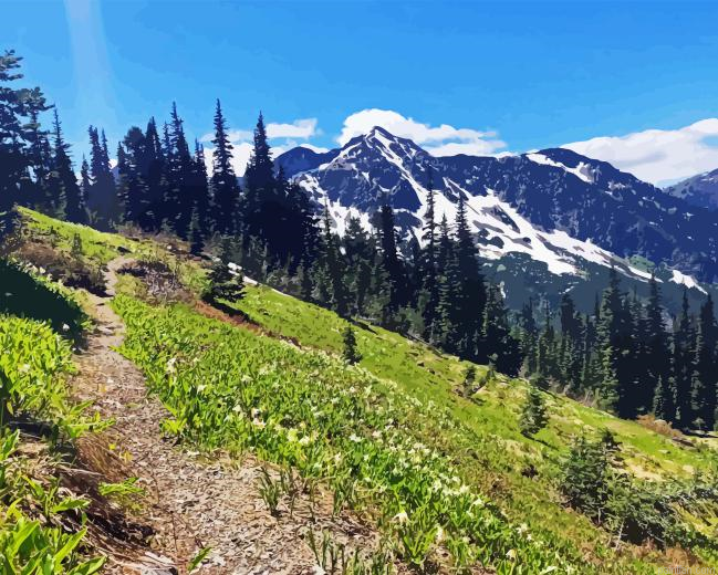 Olympic National Park Paint By Numbers.png