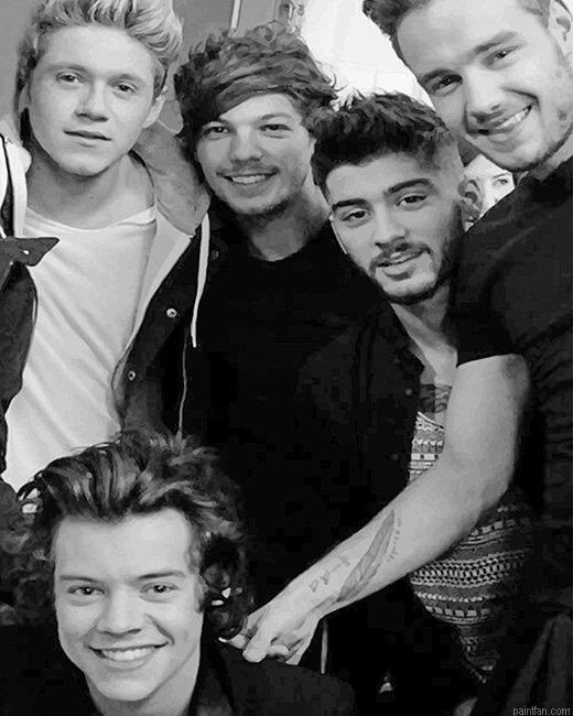One Direction Family New Paint By Numbers.png