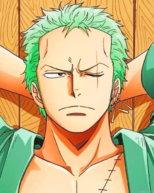 One Piece Zoro New Paint By Numbers.png