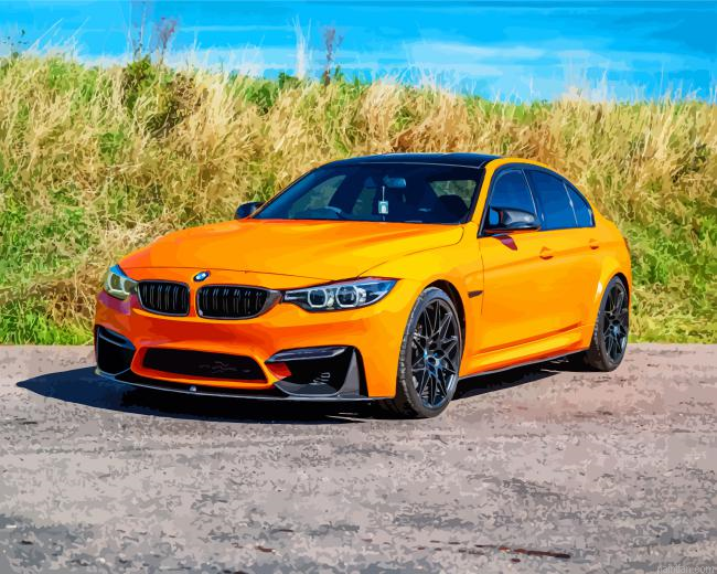 Orange Bmw 3 Paint By Numbers.png