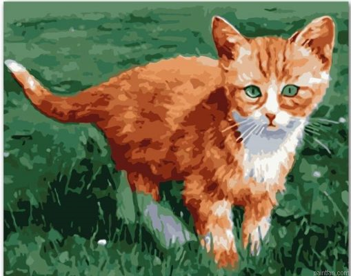 Orange Cat Paint By Numbers.png