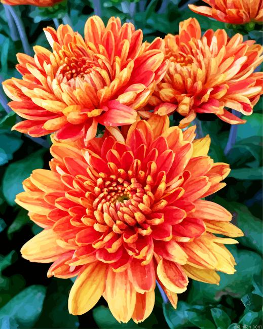 Orange Chrysanthemum Paint By Number.png