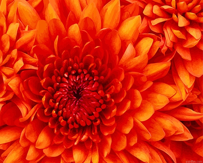 Orange Flower New Paint By Numbers.png