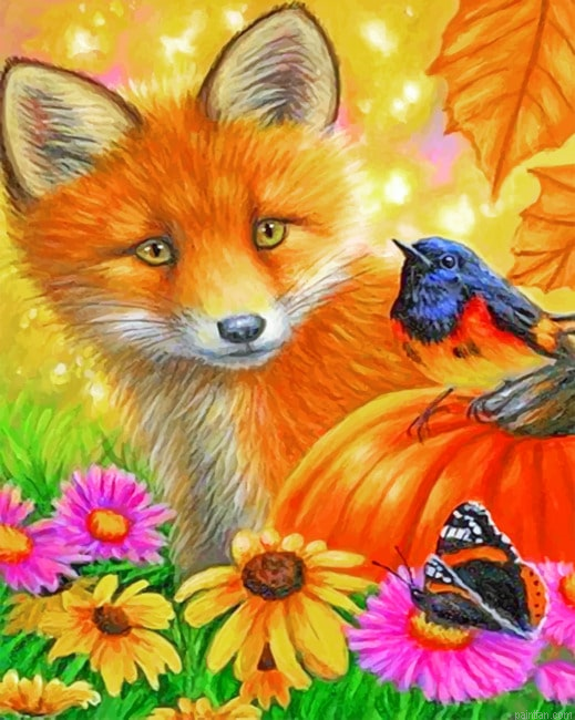 Orange Fox Animals Paint By Numbers.png