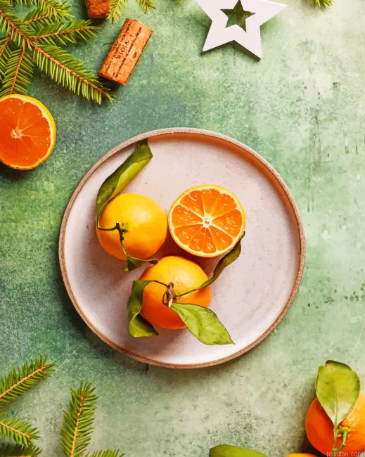 Orange Fruit Photography New Paint By Numbers.png